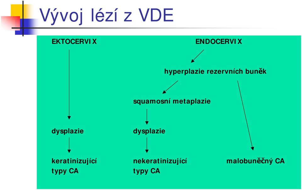 metaplazie dysplazie dysplazie