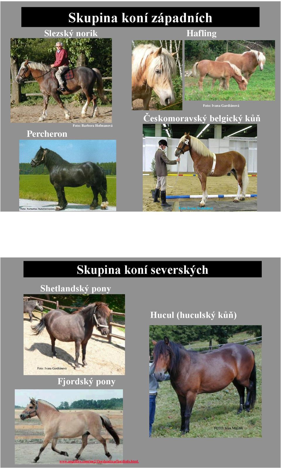 Shetlandský pony Skupina koní severských Hucul (huculský kůň)