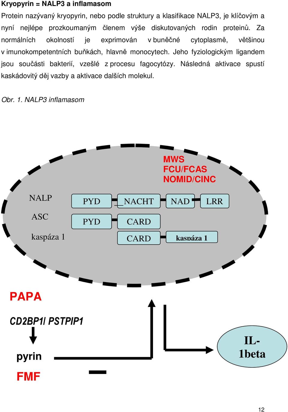Jeho fyziologickým ligandem jsou součásti bakterií, vzešlé z procesu fagocytózy.