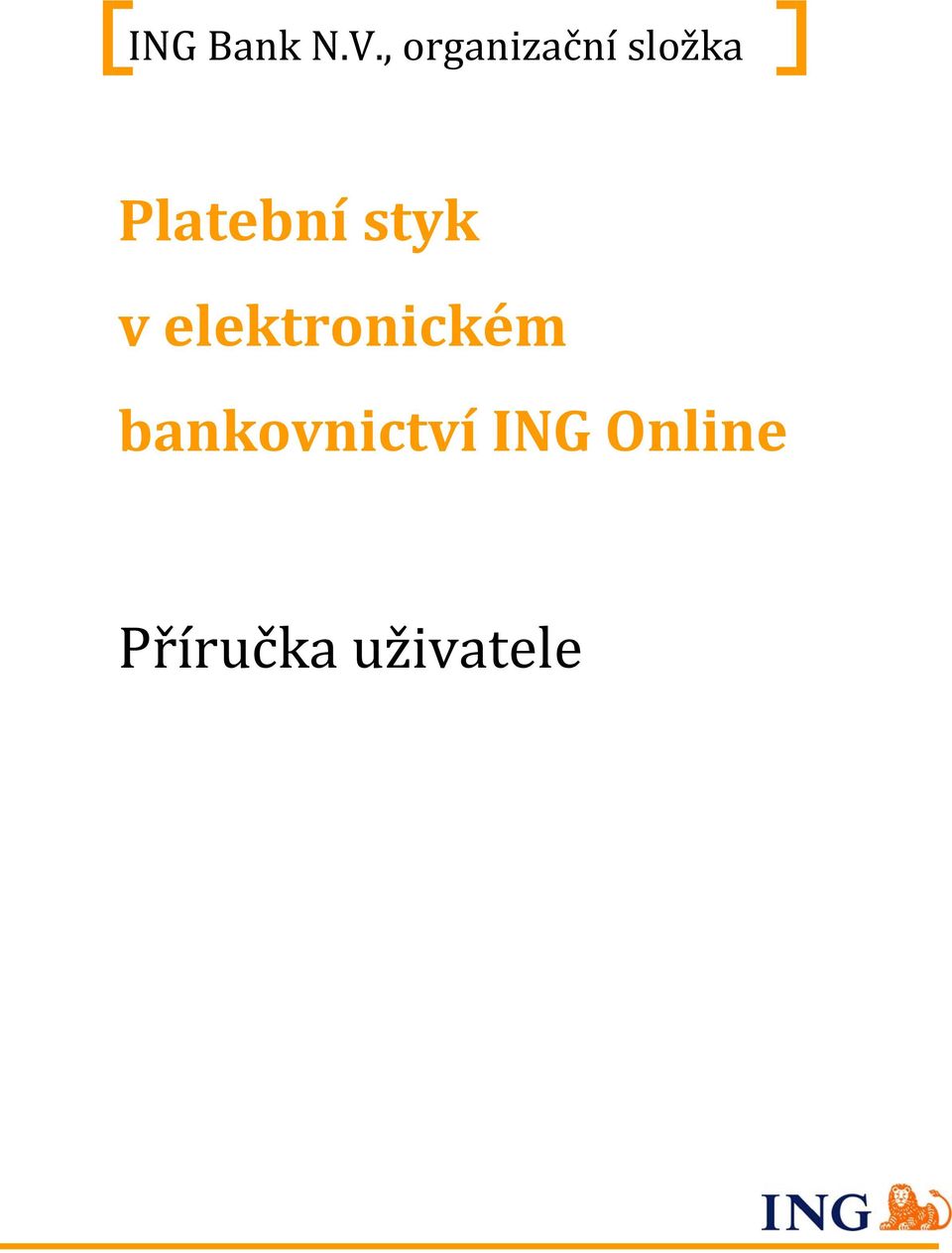 Platební styk v