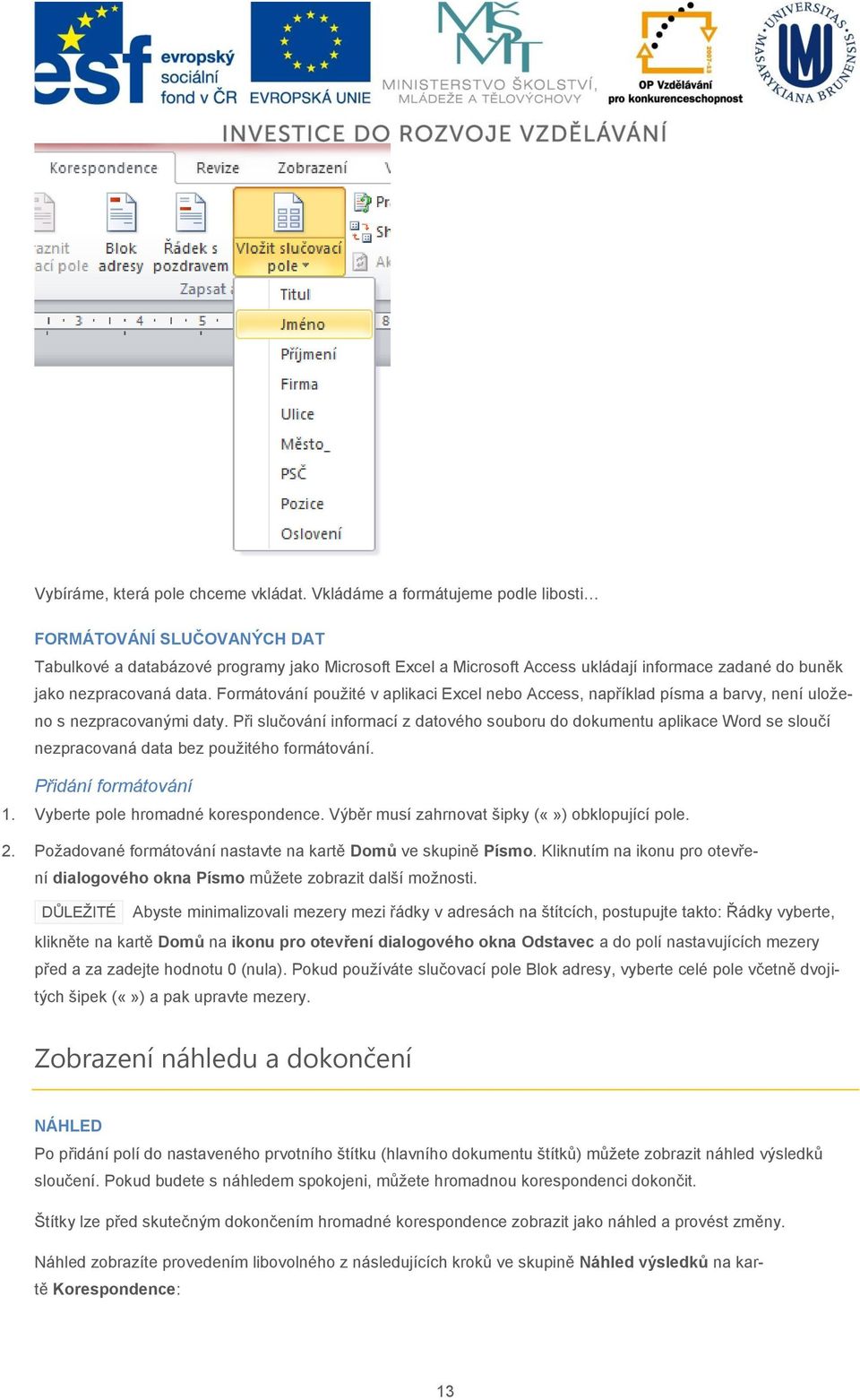 Formátování použité v aplikaci Excel nebo Access, například písma a barvy, není uloženo s nezpracovanými daty.