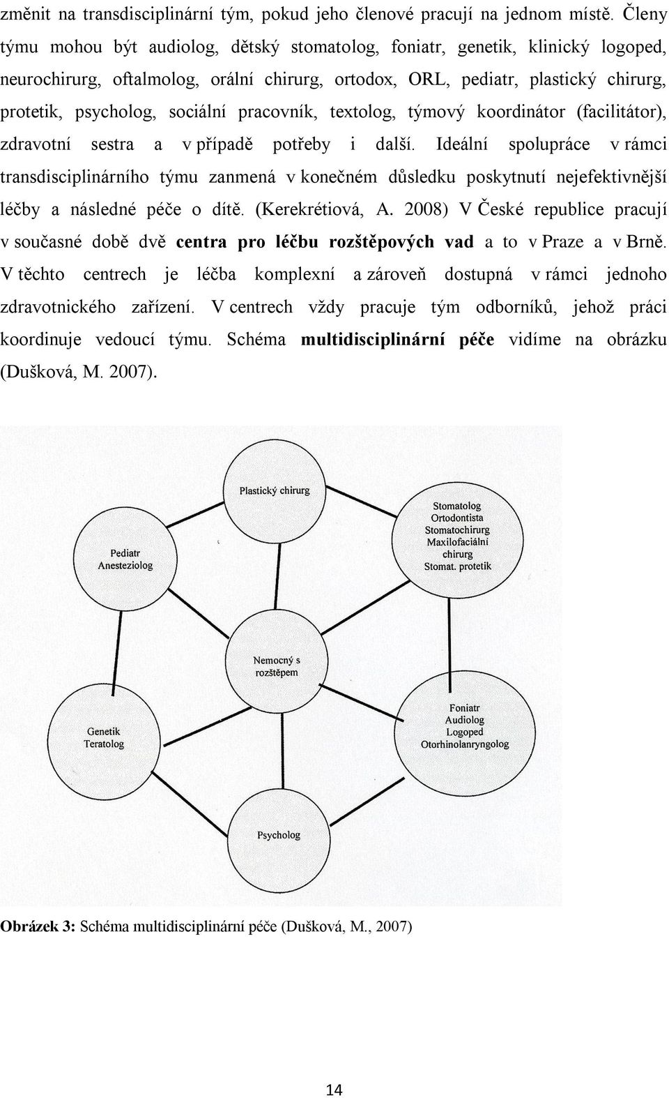 pracovník, textolog, týmový koordinátor (facilitátor), zdravotní sestra a v případě potřeby i další.