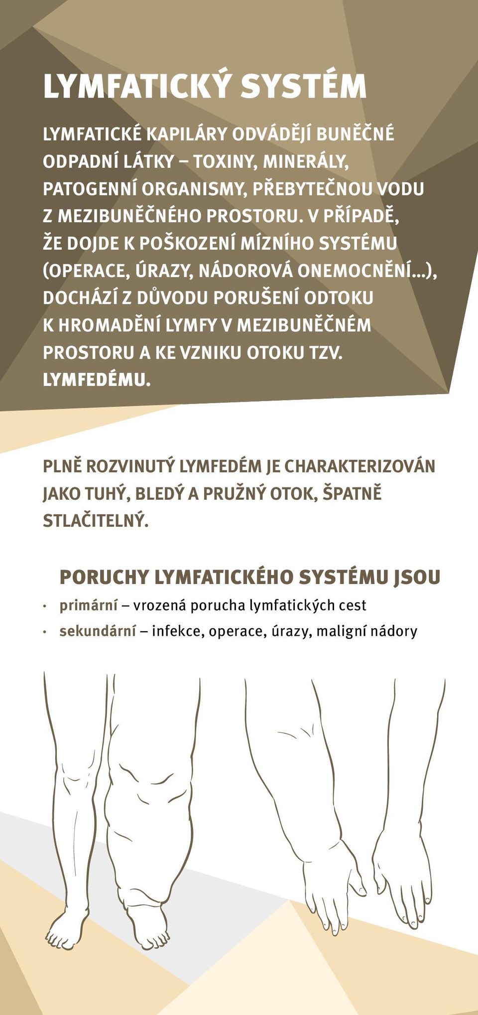 V PŘÍPADĚ, ŽE DOJDE K POŠKOZENÍ MÍZNÍHO SYSTÉMU (OPERACE, ÚRAZY, NÁDOROVÁ ONEMOCNĚNÍ ), DOCHÁZÍ Z DŮVODU PORUŠENÍ ODTOKU K HROMADĚNÍ LYMFY V