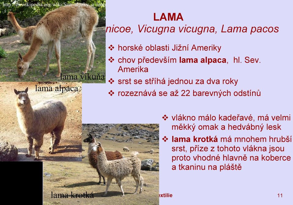 především lama alpaca, hl. Sev.