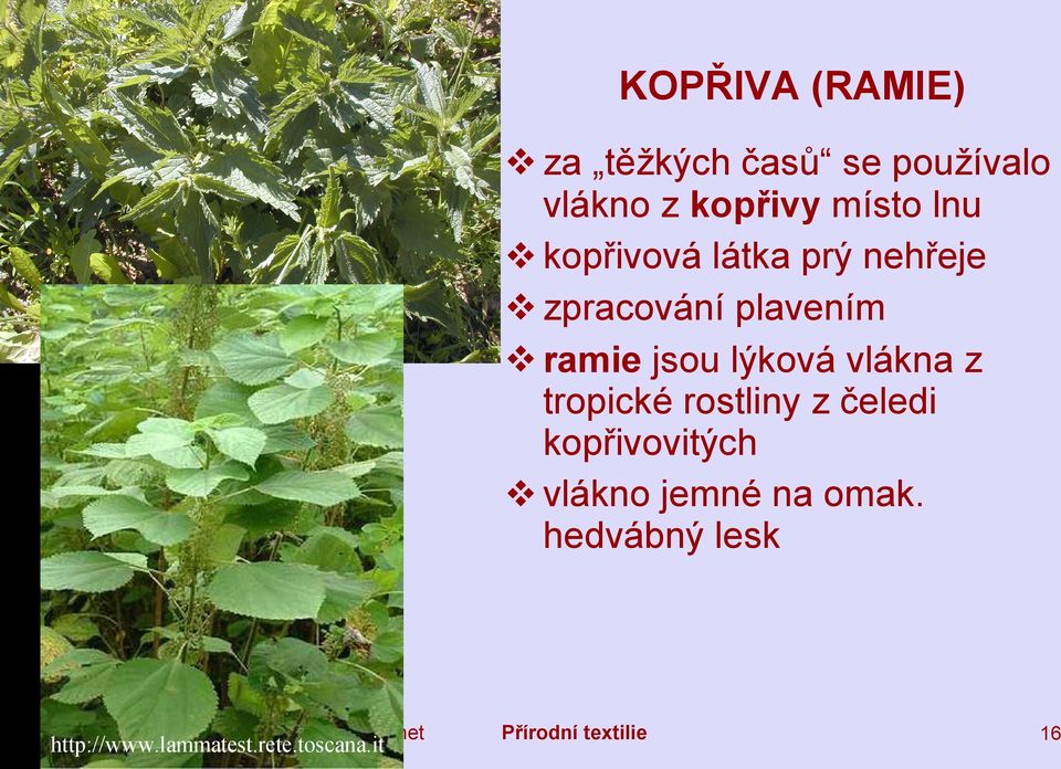 jsou lýková vlákna z tropické rostliny z čeledi kopřivovitých