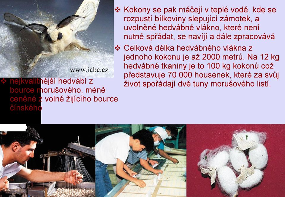 Na 12 kg hedvábné tkaniny je to 100 kg kokonů což www.iabc.