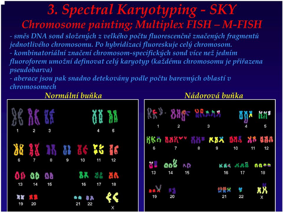 kombinatoriální značení chromosom specifických sond více než jedním fluoroforem umožní definovat celý karyotyp (každému