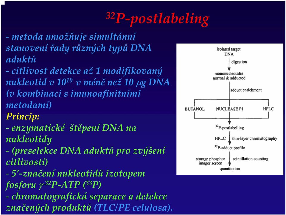 enzymatické štěpení DNA na nukleotidy (preselekce DNA aduktů pro zvýšení citlivosti) 5 značení nukleotidů