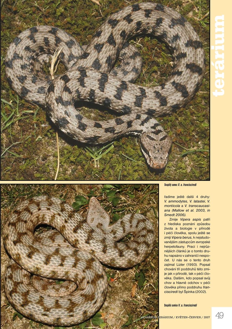 herpetofauny. Prací i nejrůznějších článků je o tomto druhu napsáno v zahraničí nespočet. U nás se o tento druh zajímal Lízler (1993).