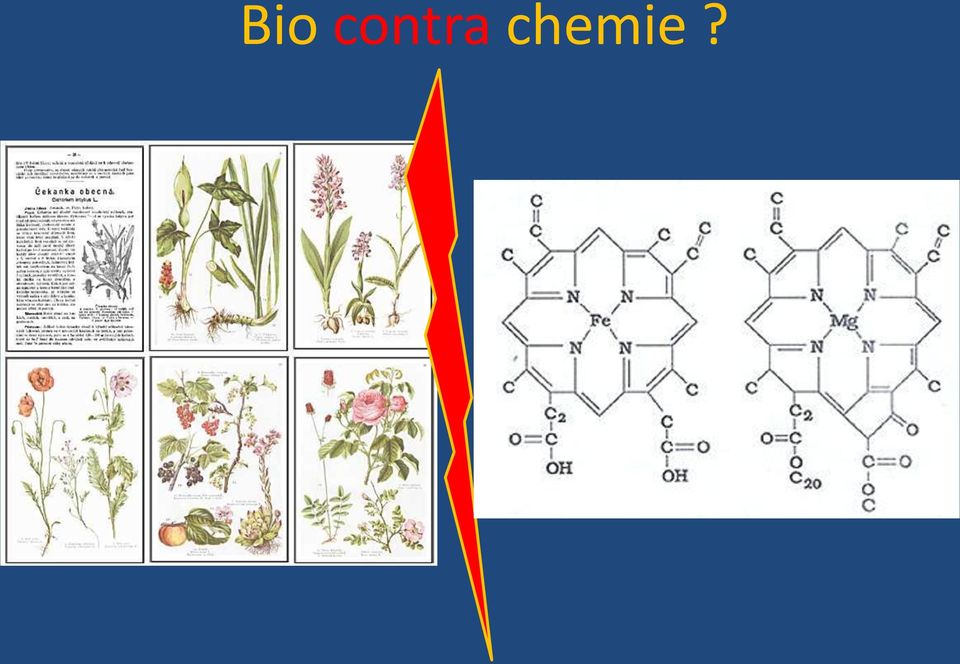 chemie?