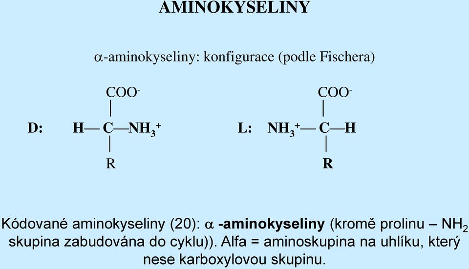 -aminokyseliny (kromě prolinu NH 2 skupina zabudována do
