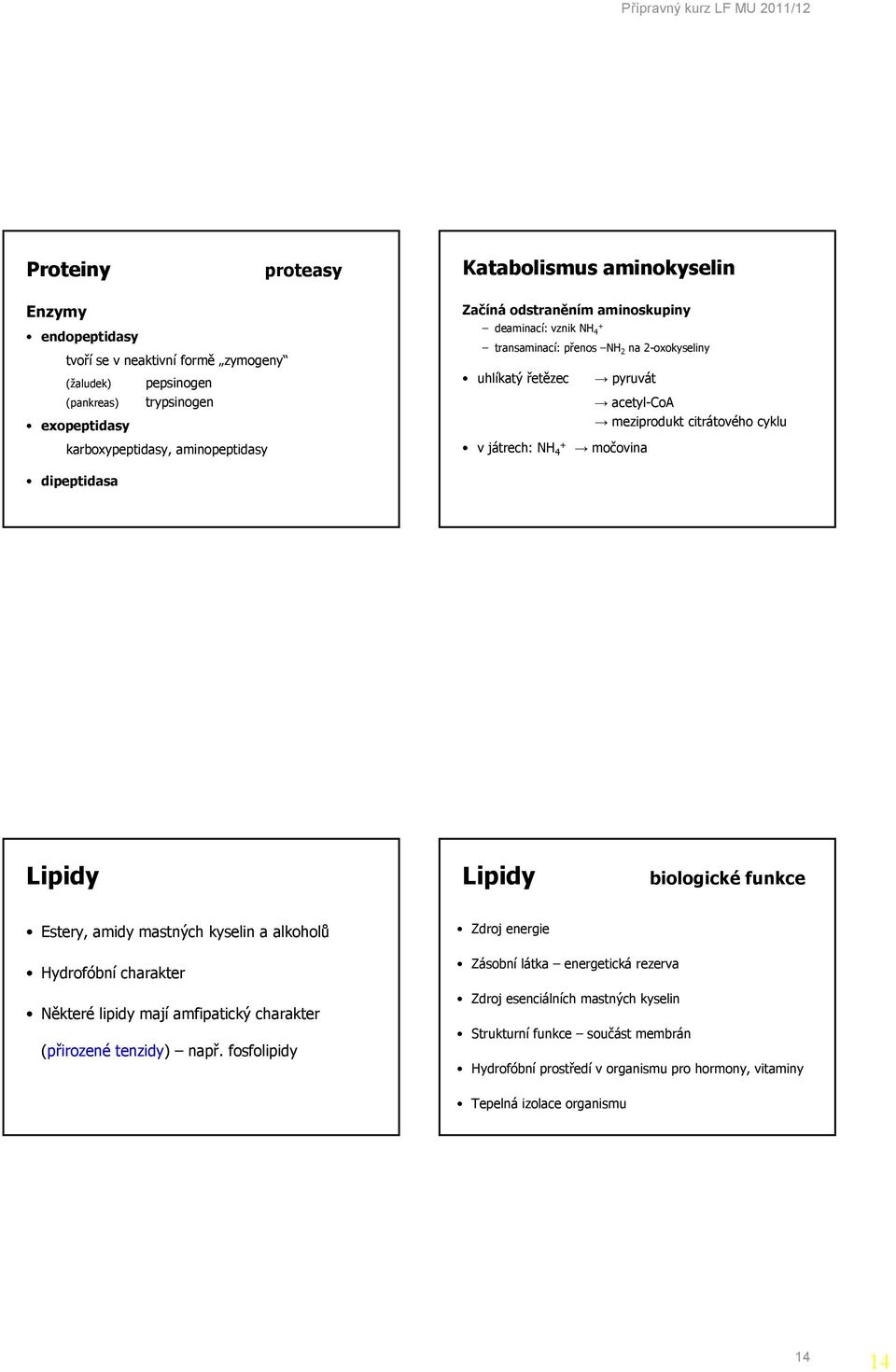 močovina dipeptidasa Lipidy Lipidy biologické funkce Estery, amidy mastných kyselin a alkoholů Zdroj energie ydrofóbní charakter ěkteré lipidy mají amfipatický charakter (přirozené tenzidy)