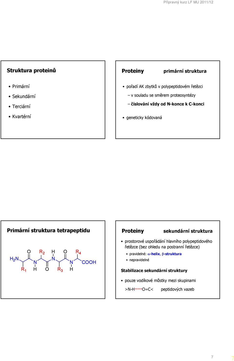 sekundární struktura 2 R 2 R 4 R 1 R 3 prostorové uspořádání hlavního polypeptidového řetězce (bez ohledu na postranní řetězce)