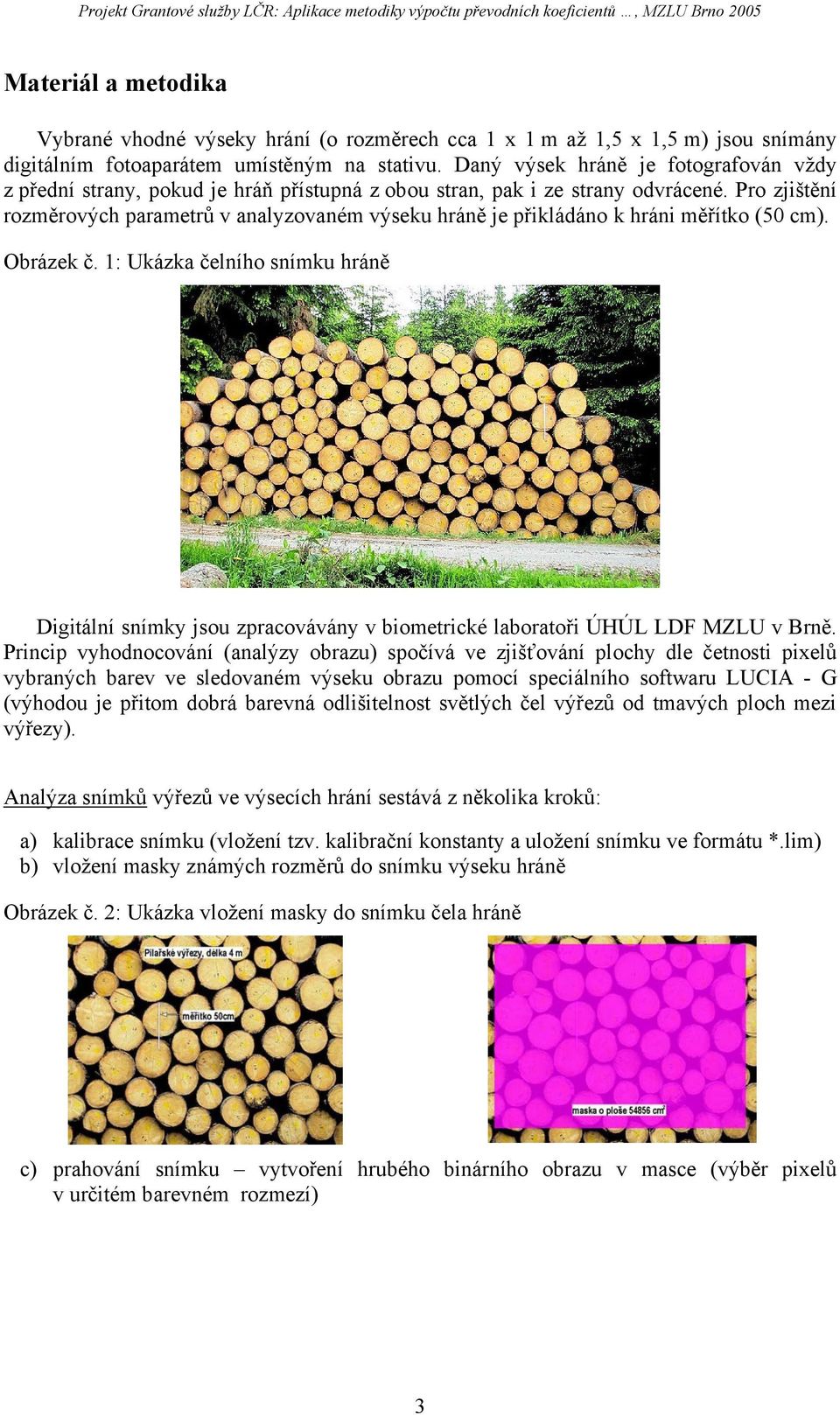 Pro zjištění rozměrových parametrů v analyzovaném výseku hráně je přikládáno k hráni měřítko (50 cm). Obrázek č.