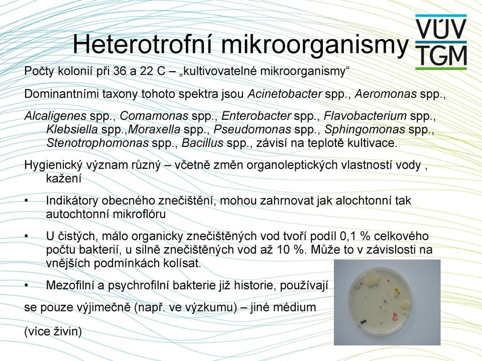 Hygienický význam různý včetně změn organoleptických vlastností vody, kažení Indikátory obecného znečištění, mohou zahrnovat jak alochtonní tak autochtonní mikroflóru U čistých, málo organicky