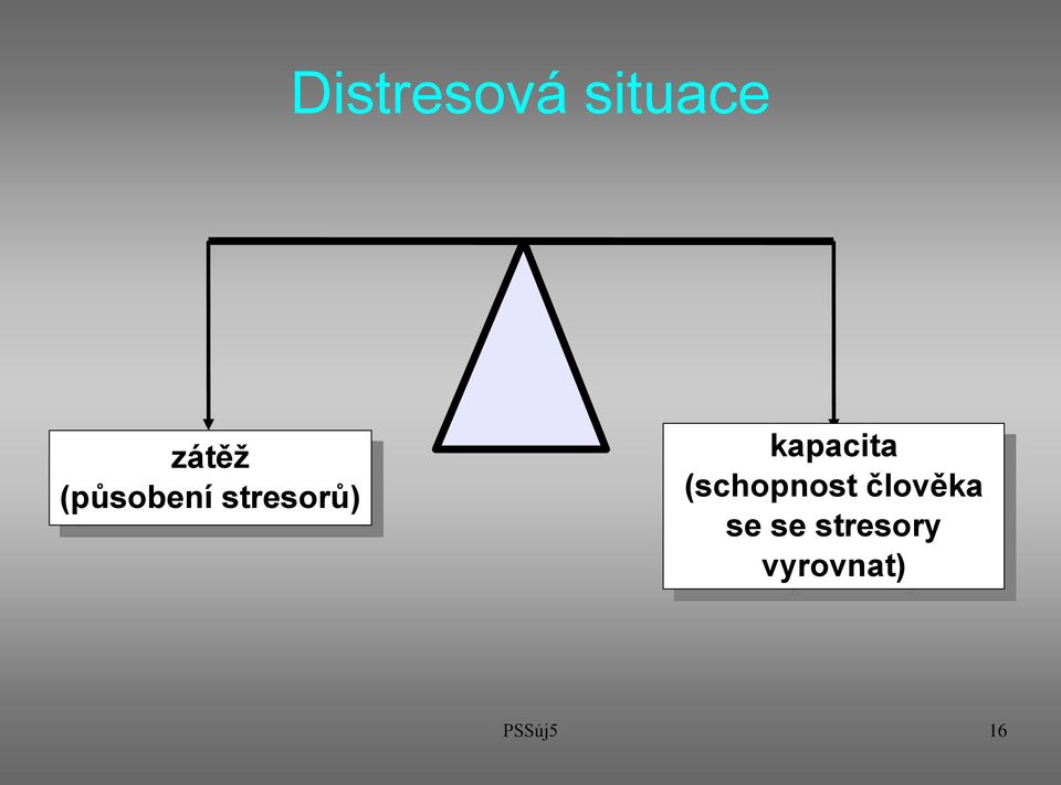 kapacita (schopnost