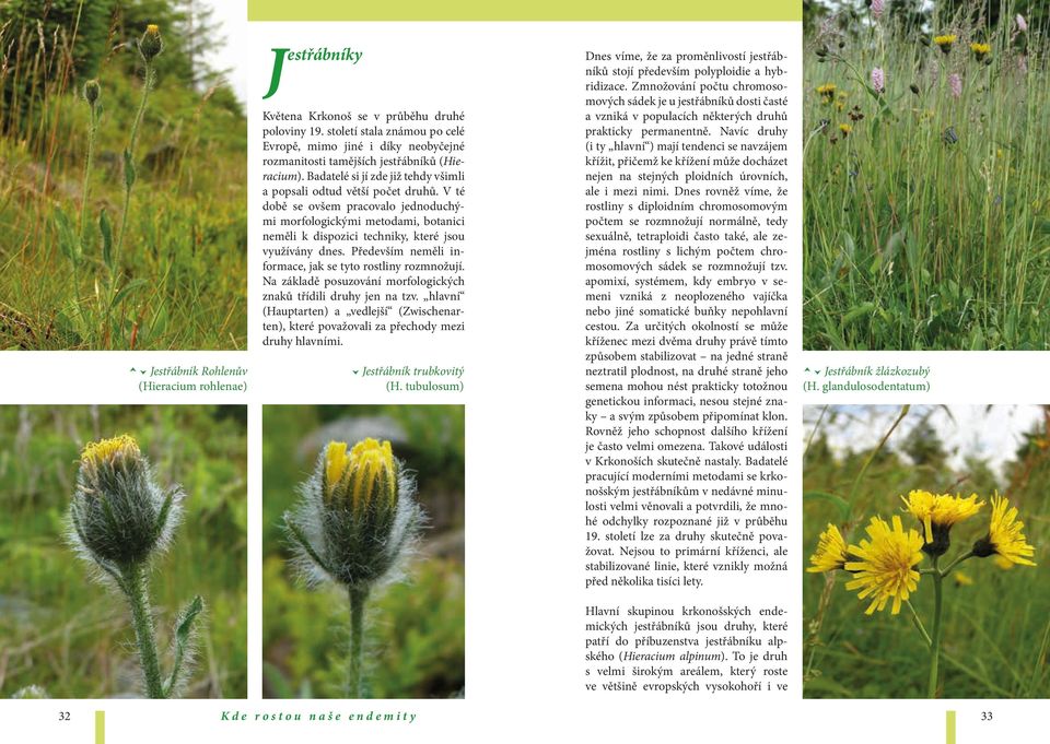 V té době se ovšem pracovalo jednoduchými morfologickými metodami, botanici neměli k dispozici techniky, které jsou využívány dnes. Především neměli informace, jak se tyto rostliny rozmnožují.