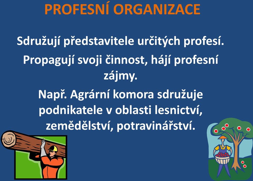 Propagují svoji činnost, hájí profesní zájmy.