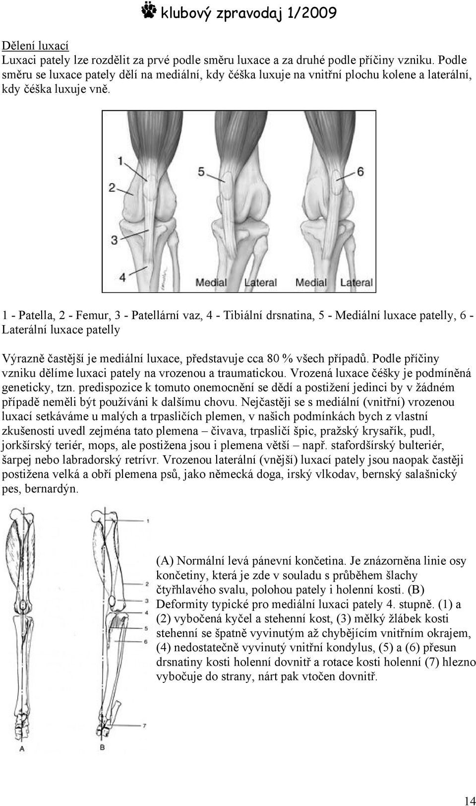 1 - Patella, 2 - Femur, 3 - Patellární vaz, 4 - Tibiální drsnatina, 5 - Mediální luxace patelly, 6 - Laterální luxace patelly Výrazně častější je mediální luxace, představuje cca 80 % všech případů.