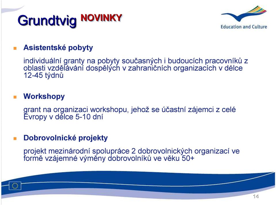 grant na organizaci workshopu, jehož se účastní zájemci z celé Evropy v délce 5-10 dní Dobrovolnické