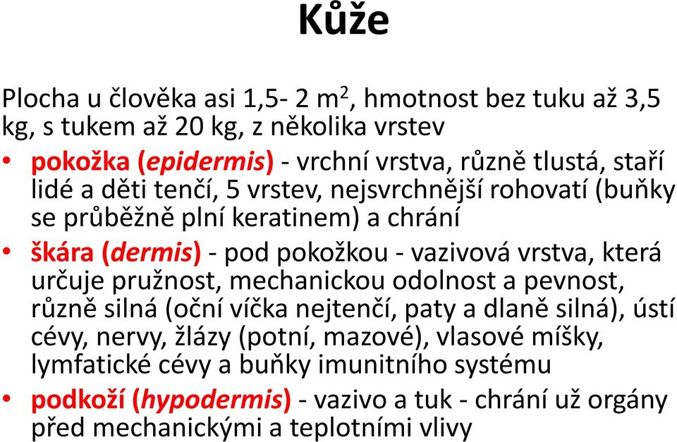 vrstva, která určuje pružnost, mechanickou odolnost a pevnost, různě silná (oční víčka nejtenčí, paty a dlaně silná), ústí cévy, nervy, žlázy (potní,