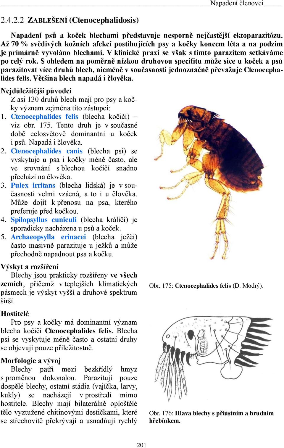 S ohledem na poměrně nízkou druhovou specifitu může sice u koček a psů parazitovat více druhů blech, nicméně v současnosti jednoznačně převažuje Ctenocephalides felis. Většina blech napadá i člověka.