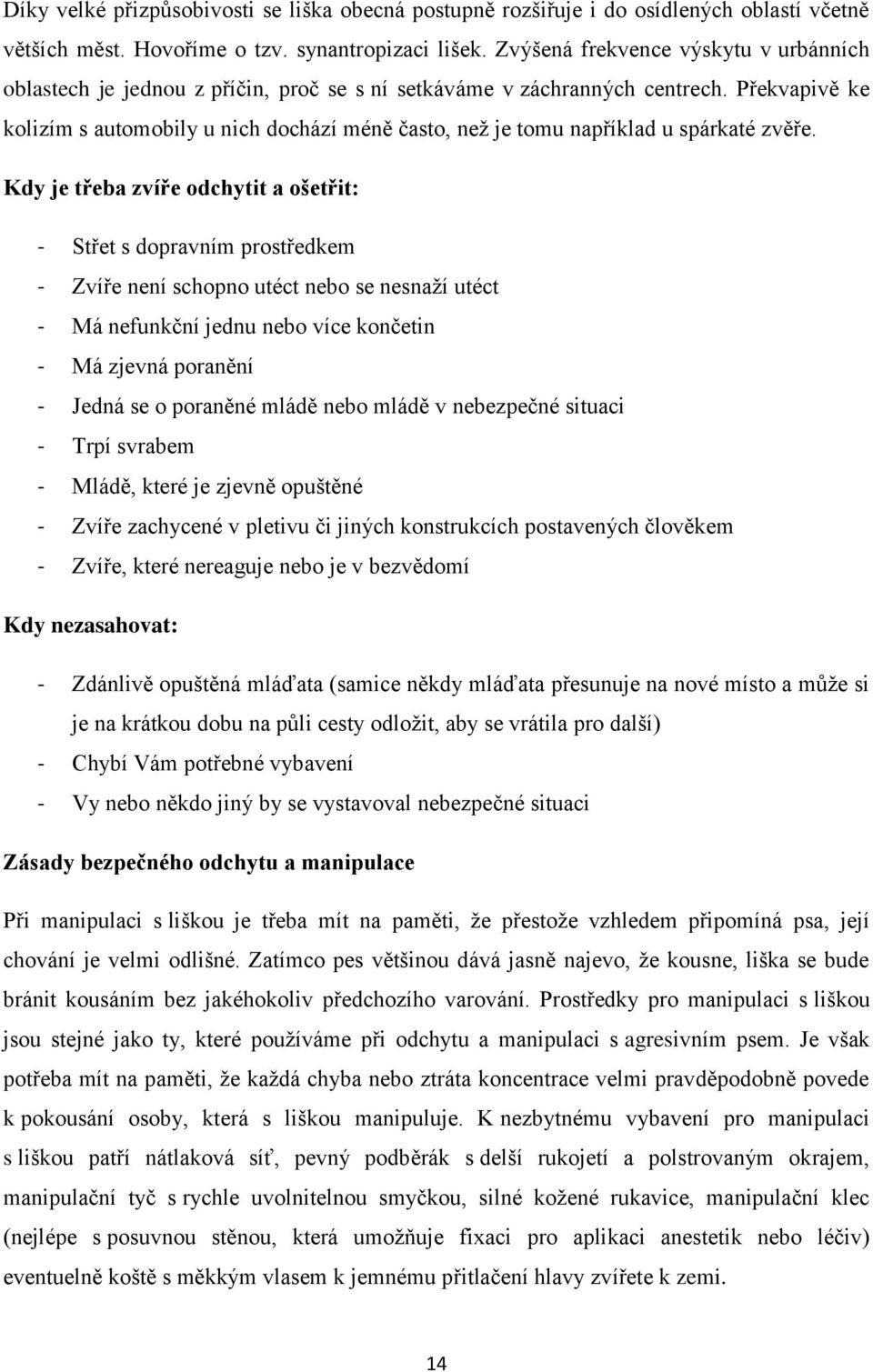 Překvapivě ke kolizím s automobily u nich dochází méně často, než je tomu například u spárkaté zvěře.