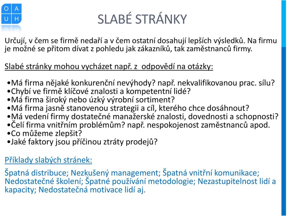 Má firma široký nebo úzký výrobní sortiment? Má firma jasně stanovenou strategii a cíl, kterého chce dosáhnout? Má vedení firmy dostatečné manažerské znalosti, dovednosti a schopnosti?