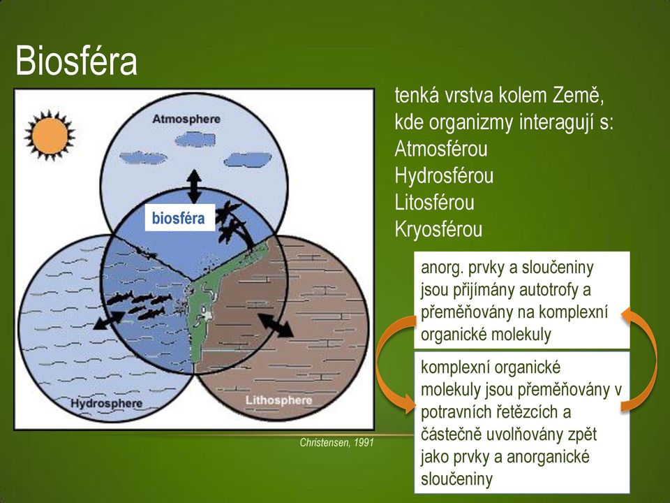 prvky a sloučeniny jsou přijímány autotrofy a přeměňovány na komplexní organické molekuly