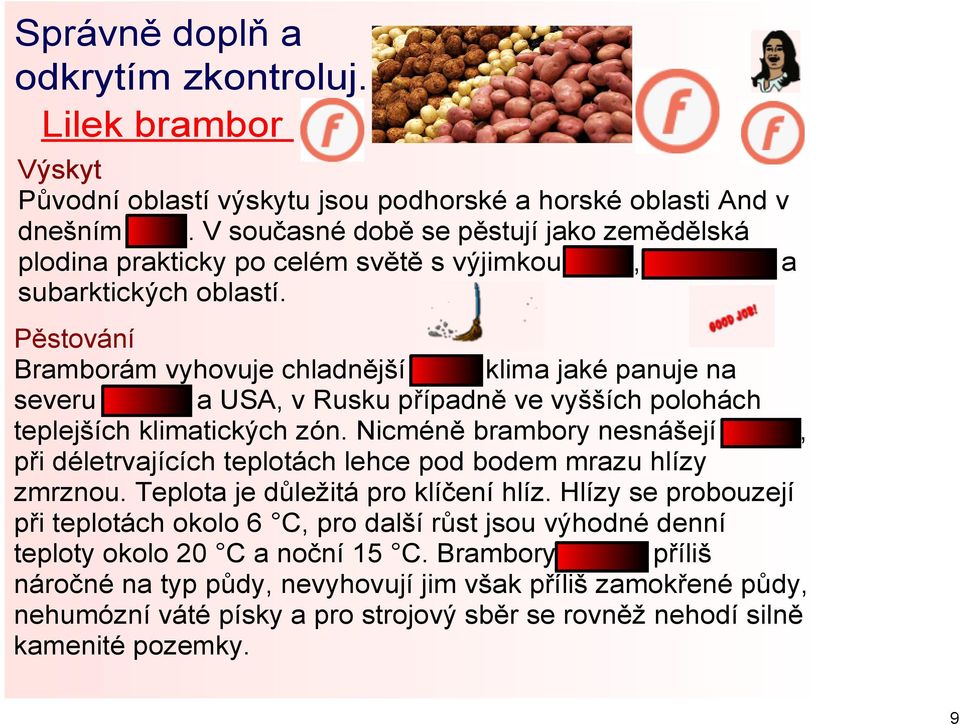 Pěstování Bramborám vyhovuje chladnější vlhké klima jaké panuje na severu Evropy a USA, v Rusku případně ve vyšších polohách teplejších klimatických zón.