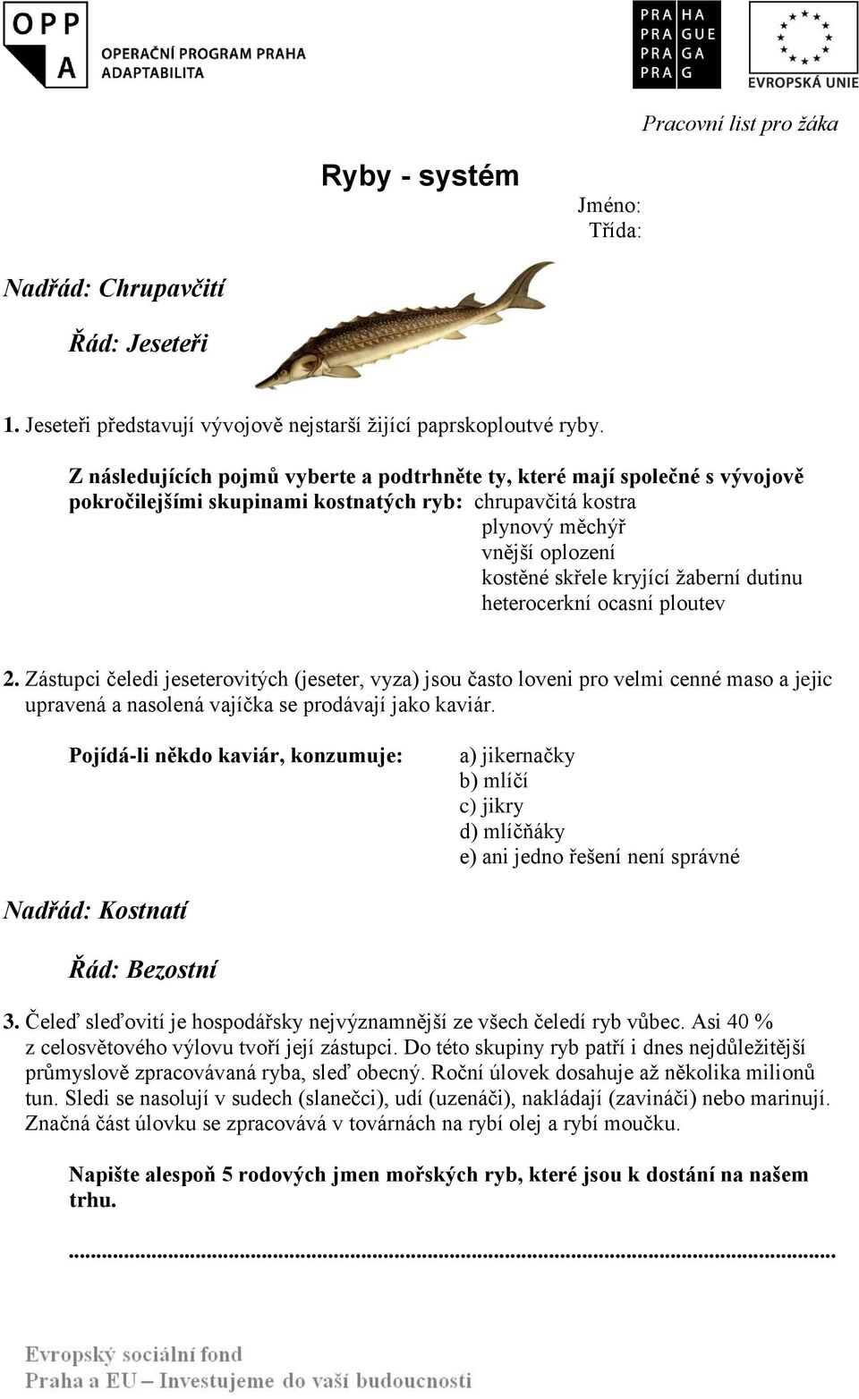 dutinu heterocerkní ocasní ploutev 2. Zástupci čeledi jeseterovitých (jeseter, vyza) jsou často loveni pro velmi cenné maso a jejic upravená a nasolená vajíčka se prodávají jako kaviár.