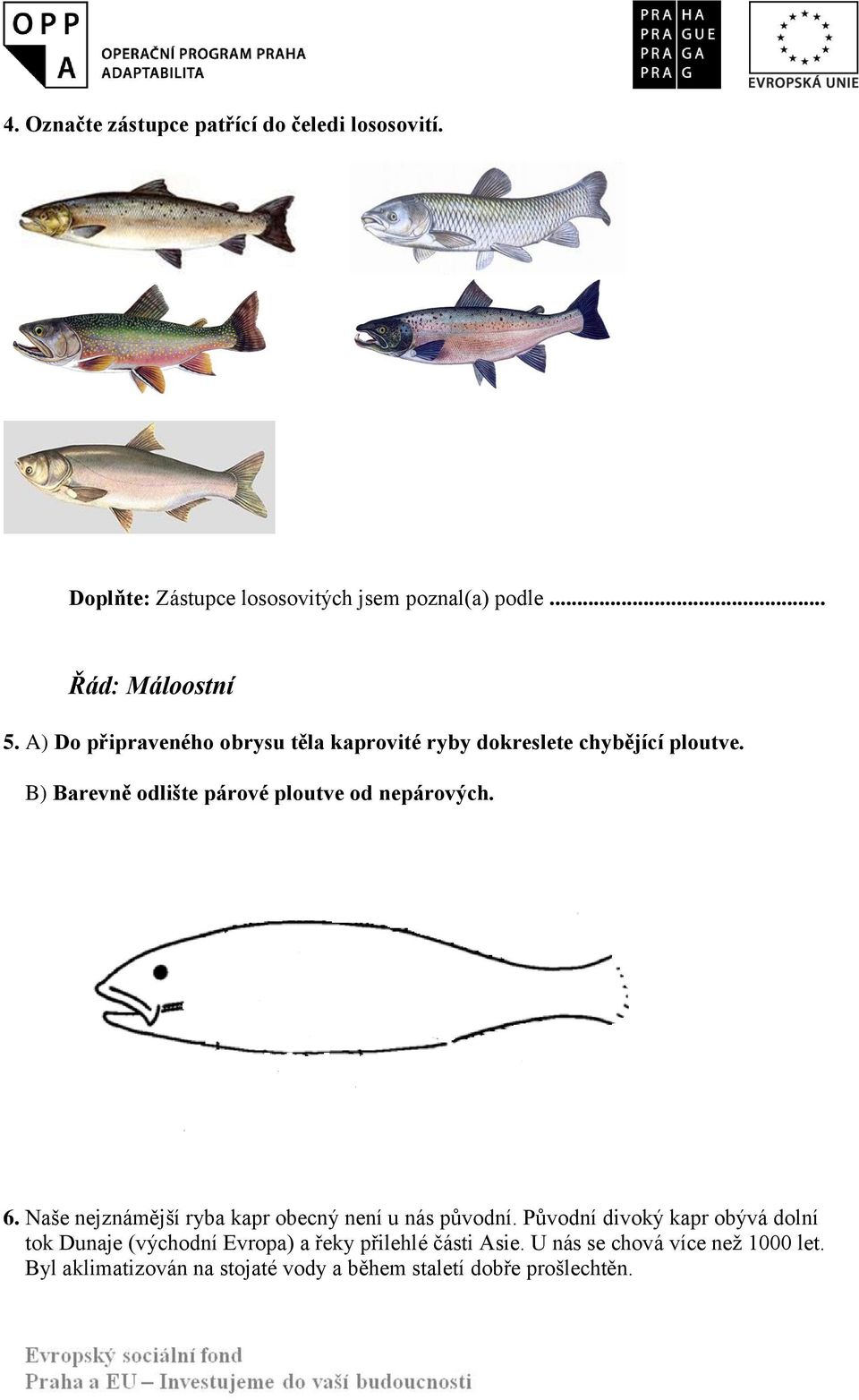 6. Naše nejznámější ryba kapr obecný není u nás původní.