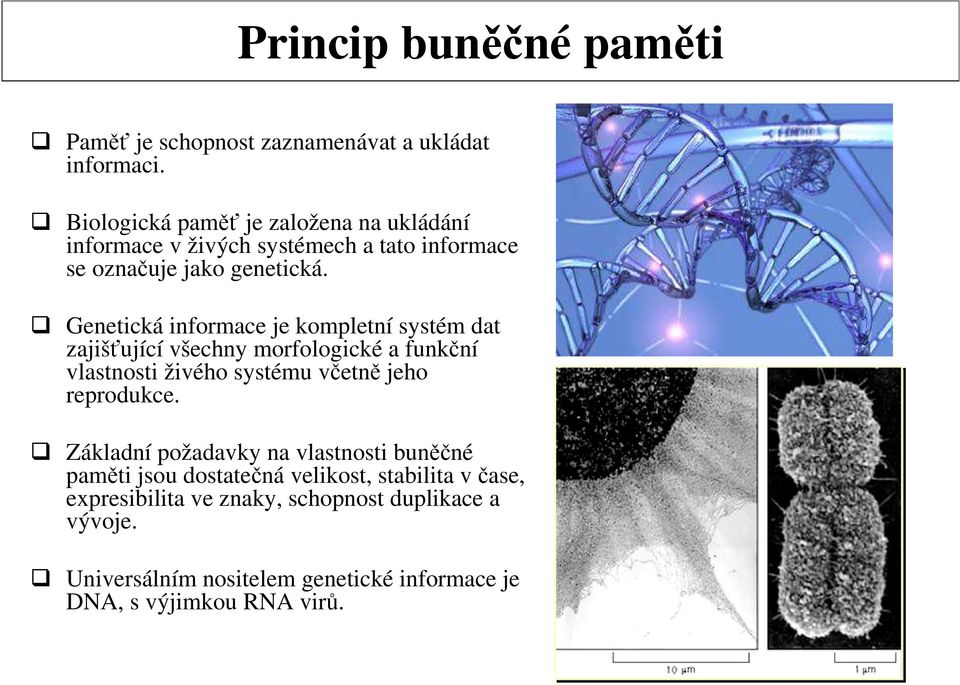 Genetická informace je kompletní systém dat zajišťující všechny morfologické a funkční vlastnosti živého systému včetně jeho reprodukce.