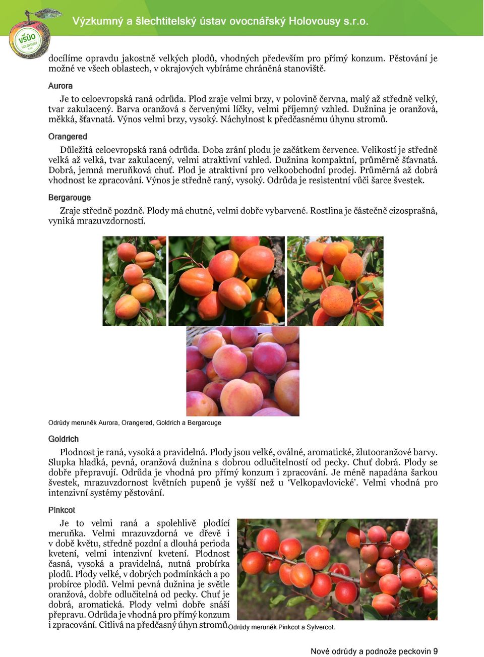 Výnos velmi brzy, vysoký. Náchylnost k předčasnému úhynu stromů. Orangered Důležitá celoevropská raná odrůda. Doba zrání plodu je začátkem července.