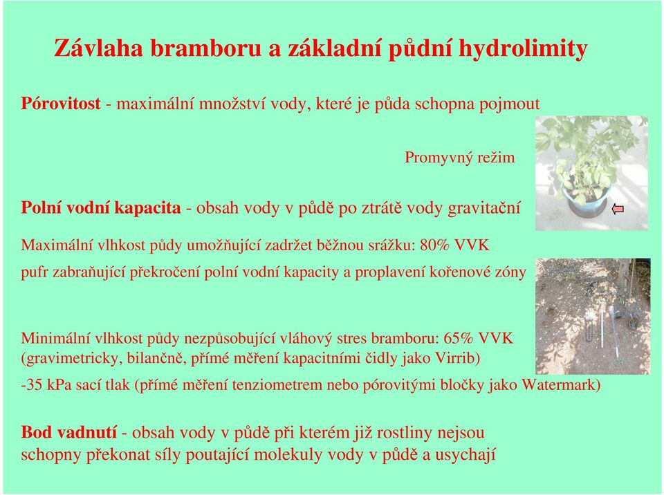 Minimální vlhkost půdy nezpůsobující vláhový stres bramboru: 65% VVK (gravimetricky, bilančně, přímé měření kapacitními čidly jako Virrib) -35 kpa sací tlak (přímé měření