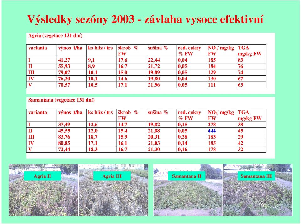 0,04 130 67 V 70,57 10,5 17,1 21,96 0,05 111 63 Samantana (vegetace 131 dní) varianta výnos t/ha ks hlíz / trs škrob % FW sušina % red.