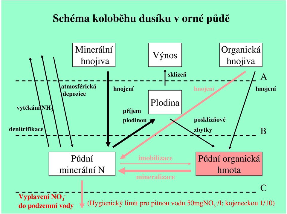 posklizňové zbytky A B Vyplavení NO 3 - do podzemní vody Půdní minerální N imobilizace