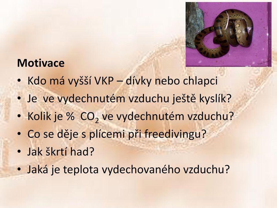 Kolik je % CO 2 ve vydechnutém vzduchu?