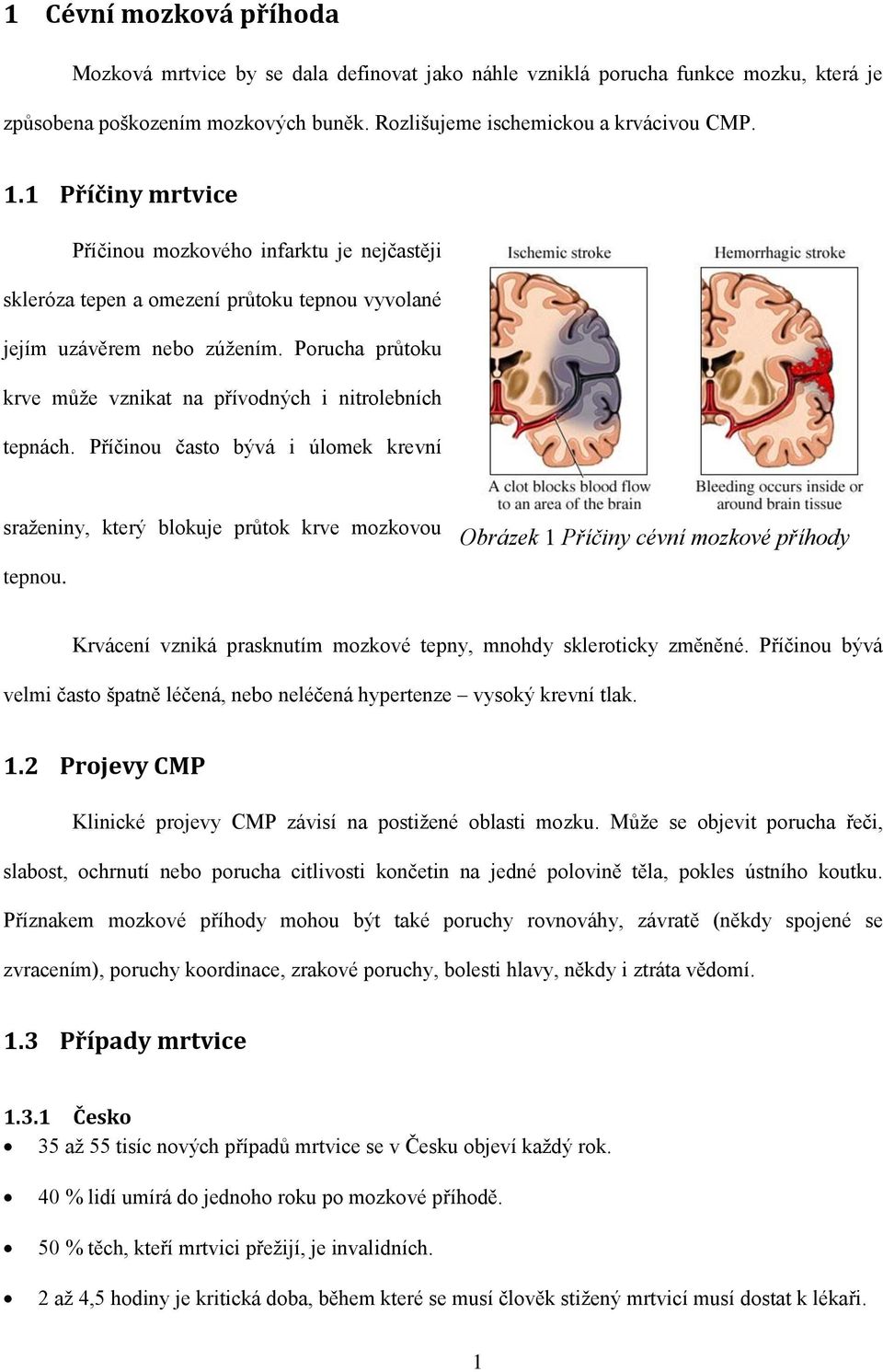 Porucha průtoku krve může vznikat na přívodných i nitrolebních tepnách. Příčinou často bývá i úlomek krevní sraženiny, který blokuje průtok krve mozkovou tepnou.