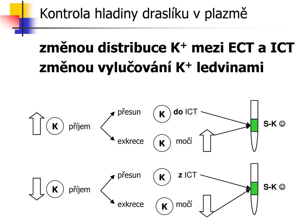 vylučování + ledvinami příjem přesun do