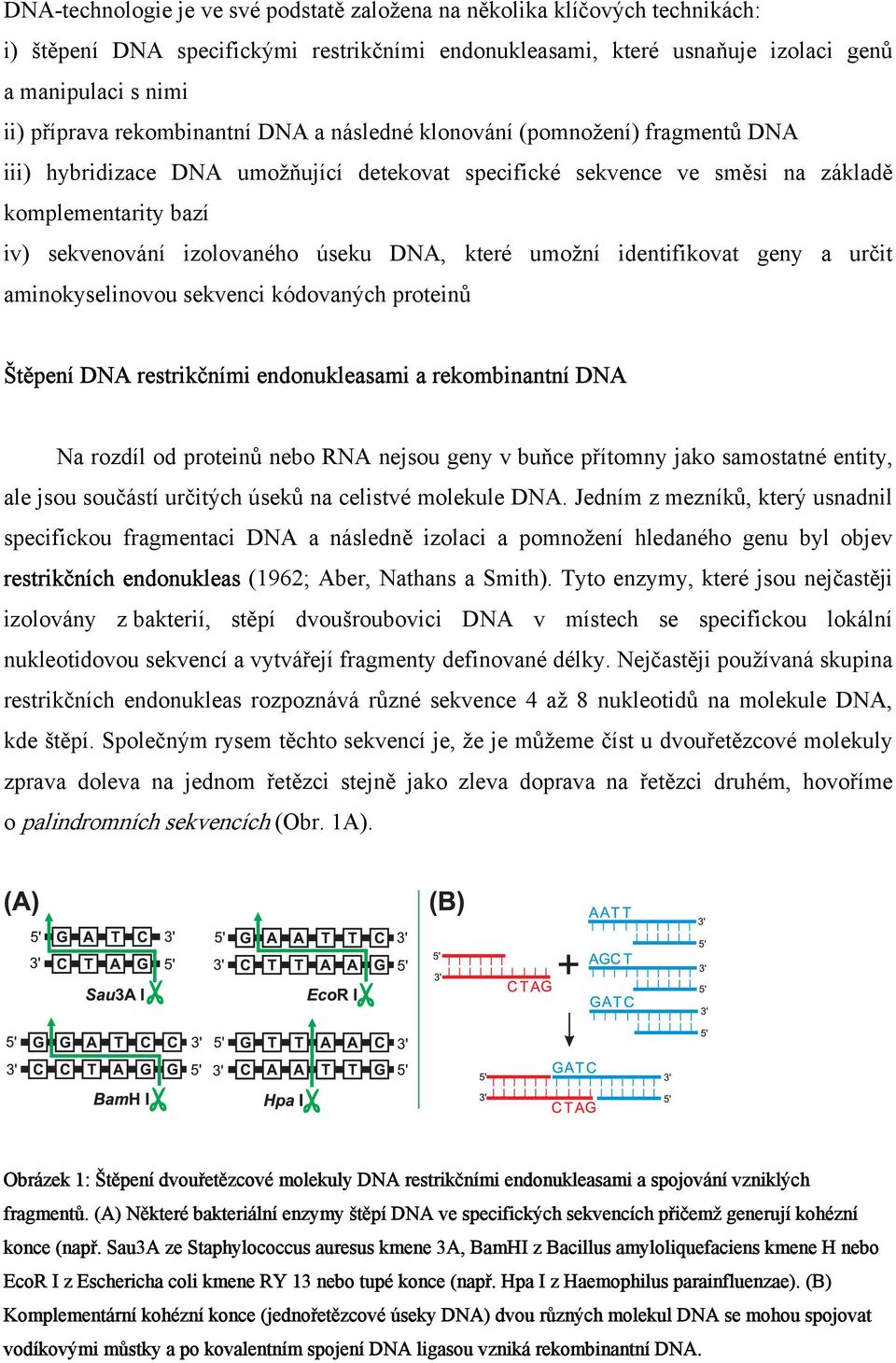 úseku DNA, které umožní identifikovat geny a určit aminokyselinovou sekvenci kódovaných proteinů Štěpení DNA restrikčními endonukleasami a rekombinantní DNA Na rozdíl od proteinů nebo RNA nejsou geny