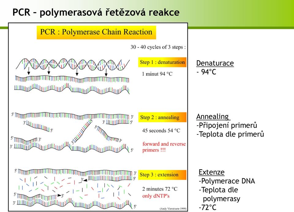 primerů -Teplota dle primerů Extenze