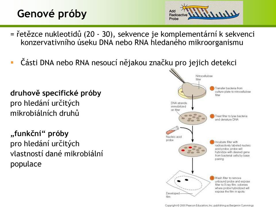 nesoucí nějakou značku pro jejich detekci druhově specifické próby pro hledání