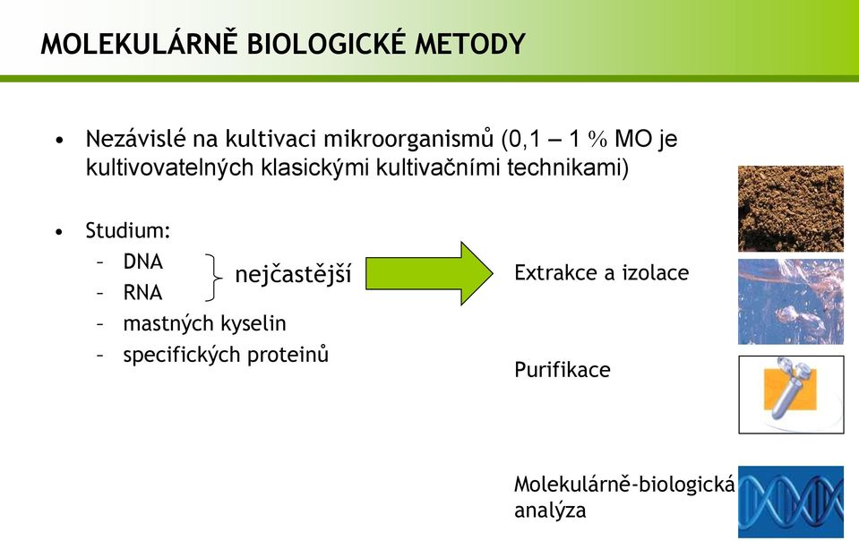 kultivačními technikami) Studium: DNA RNA nejčastější mastných