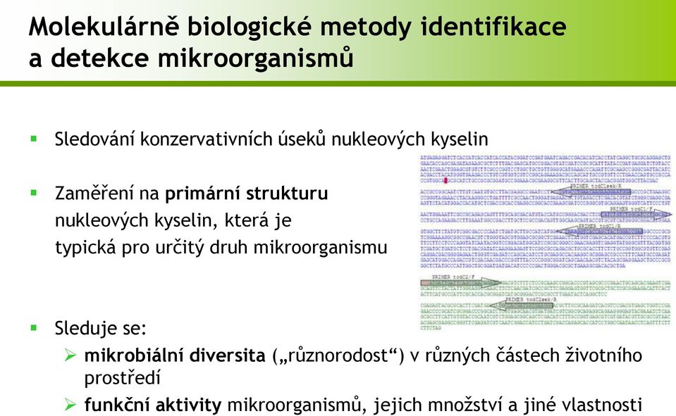 která je typická pro určitý druh mikroorganismu Sleduje se: mikrobiální diversita (