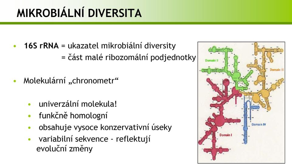 chronometr univerzální molekula!