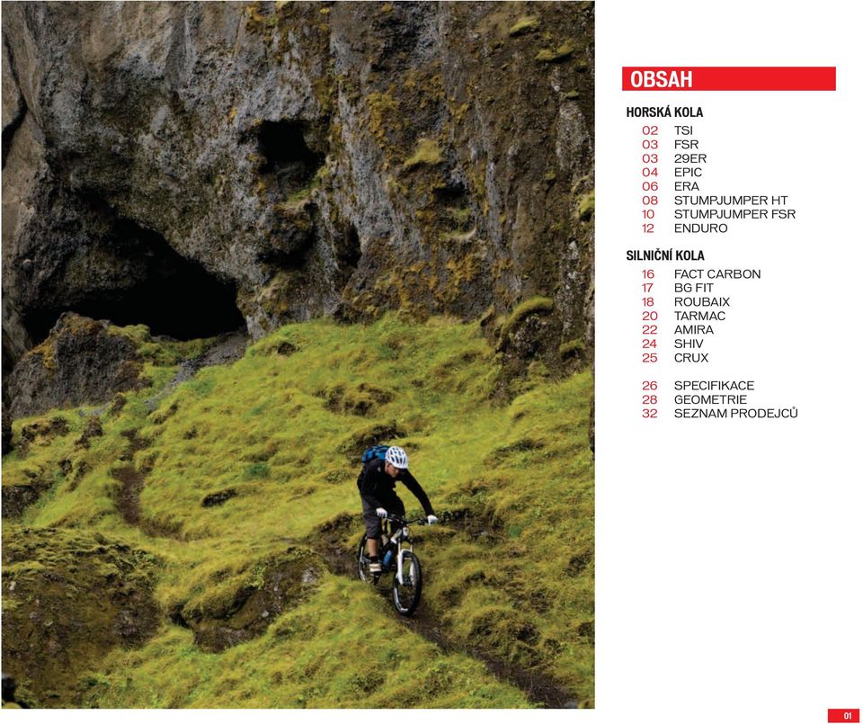 16 FACT CARBON 17 BG FIT 18 ROUBAIX 20 TARMAC 22 AMIRA 24