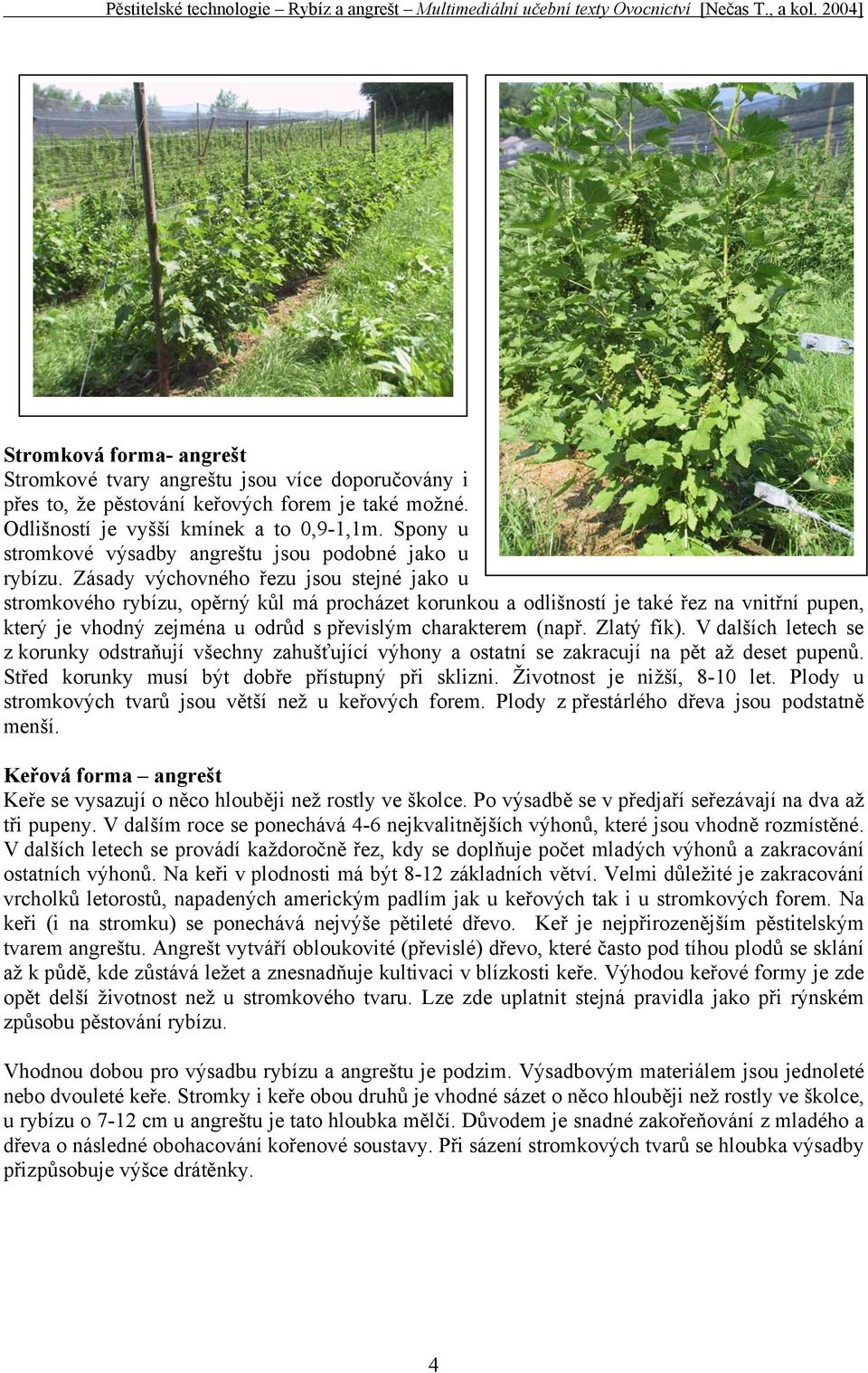 Zásady výchovného řezu jsou stejné jako u stromkového rybízu, opěrný kůl má procházet korunkou a odlišností je také řez na vnitřní pupen, který je vhodný zejména u odrůd s převislým charakterem (např.