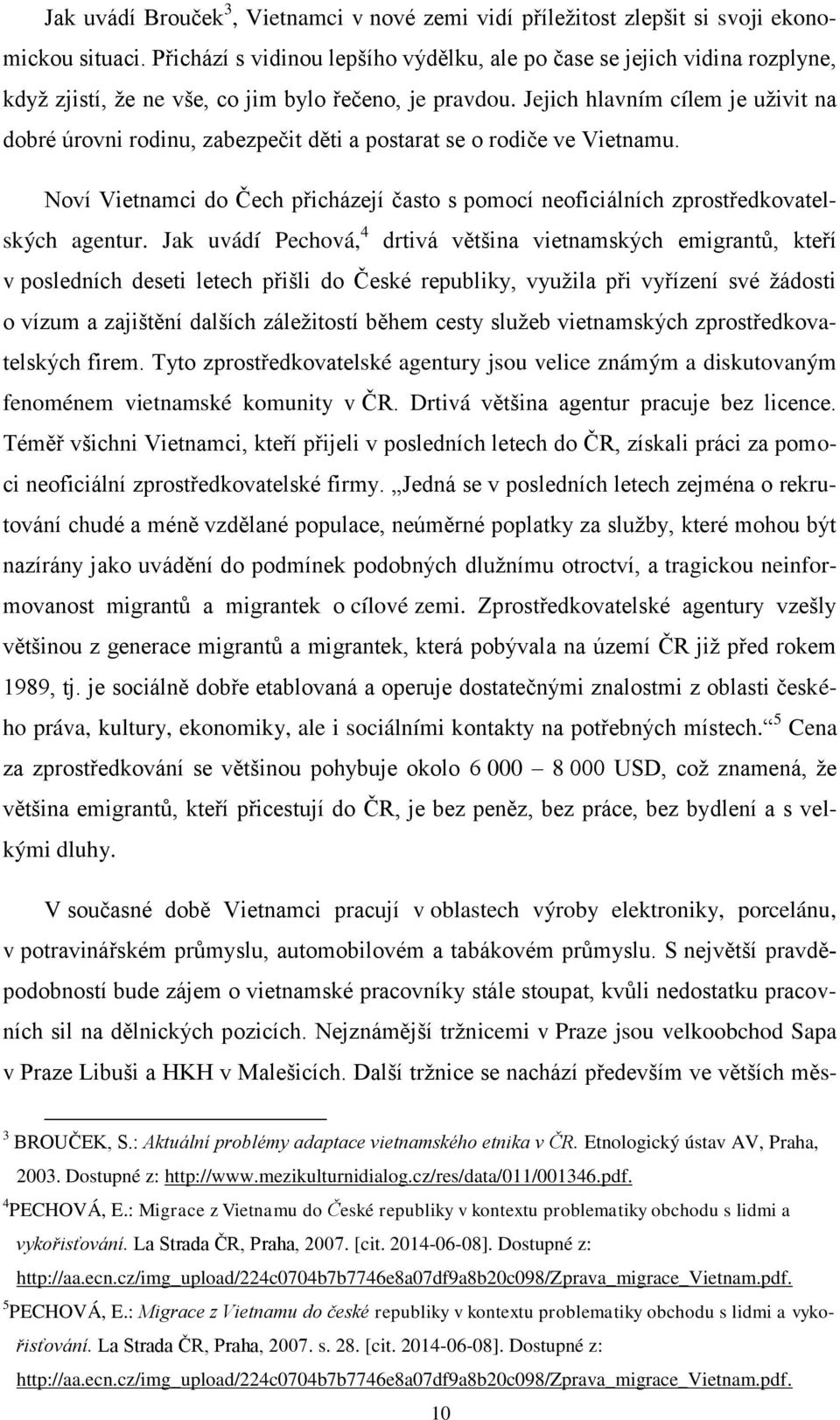 Jejich hlavním cílem je uživit na dobré úrovni rodinu, zabezpečit děti a postarat se o rodiče ve Vietnamu. Noví Vietnamci do Čech přicházejí často s pomocí neoficiálních zprostředkovatelských agentur.