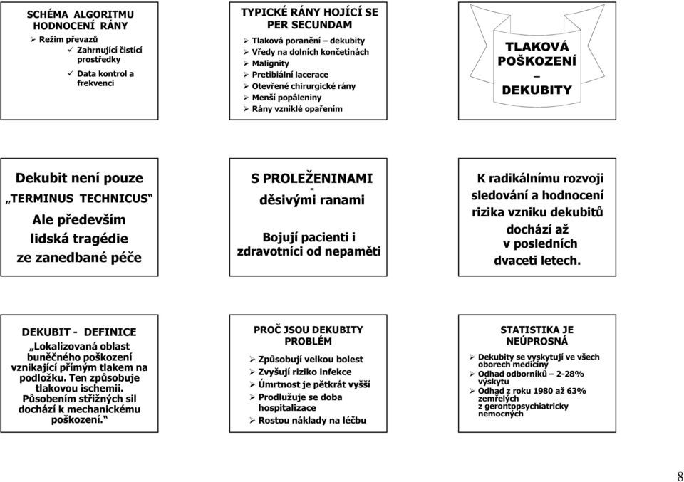 zanedbané péče S PROLEŽENINAMI = děsivými ranami Bojují pacienti i zdravotníci od nepaměti K radikálnímu rozvoji sledování a hodnocení rizika vzniku dekubitů dochází až v posledních dvaceti letech.